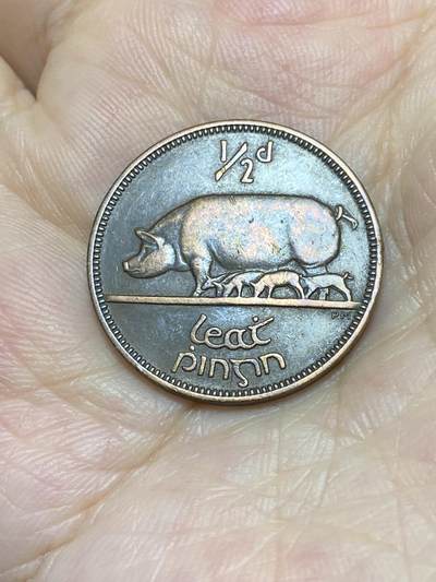 2025年第八十七场(总第一百一十三场）外国好品散币(免佣金) - 好品–爱尔兰🇮🇪1941年1/2便士(共和国时期第一套)