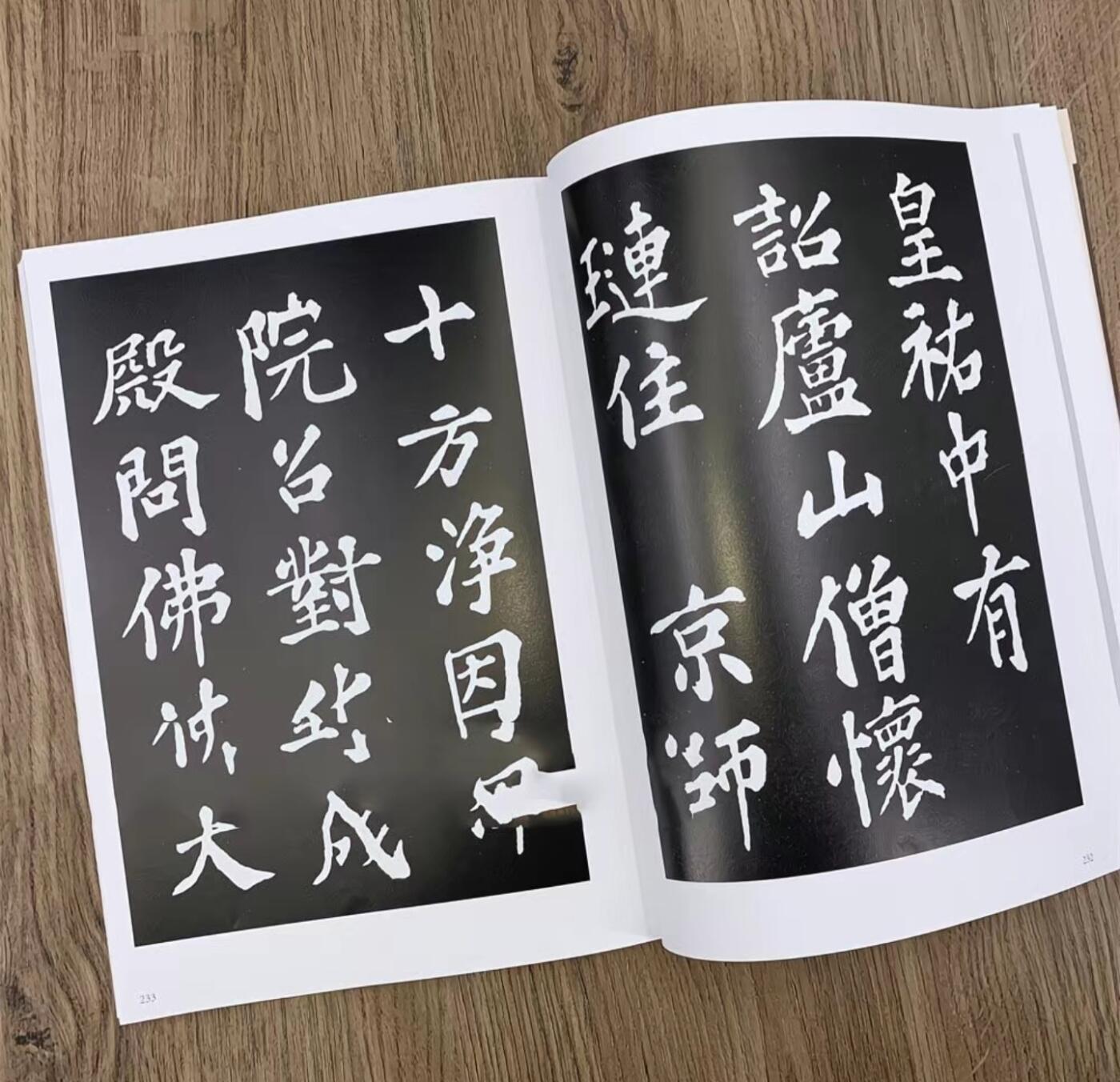 听雨轩名家书画册专场 (全新正版) 苏轼书法集 上下两册 全新正版铜版彩印