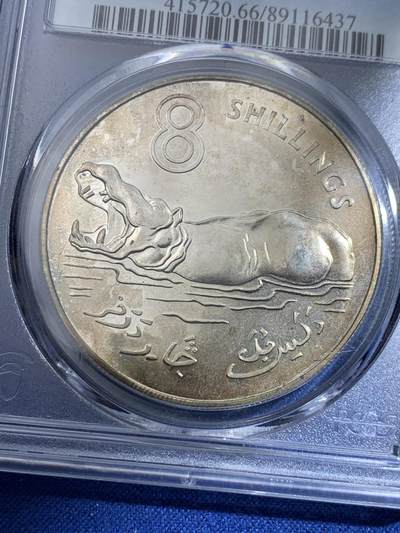 《竞宝斋》第417场 周日，周一，2场连拍 （全场包邮） PCGS PR66 冈比亚1970年8先令大河马币，精制版大银币，高分可藏。