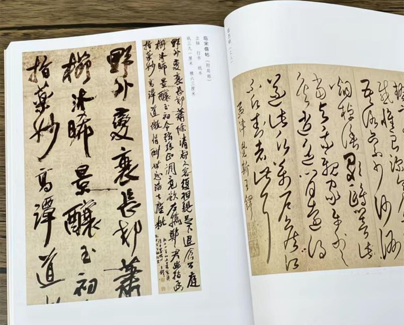 听雨轩名家书画册专场 (全新正版) 王铎书法集 上下两册 全新正版铜版彩印