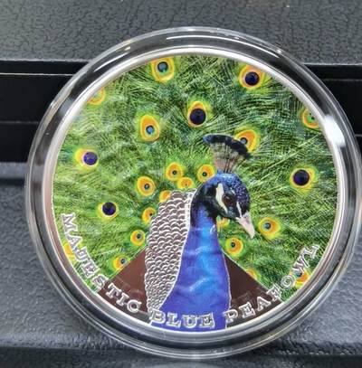 第173期拍卖【长期征集拍品】 - 纽埃2019年美丽动物系列孔雀32.9克精制彩银币，彩色部分有隆起，银价304