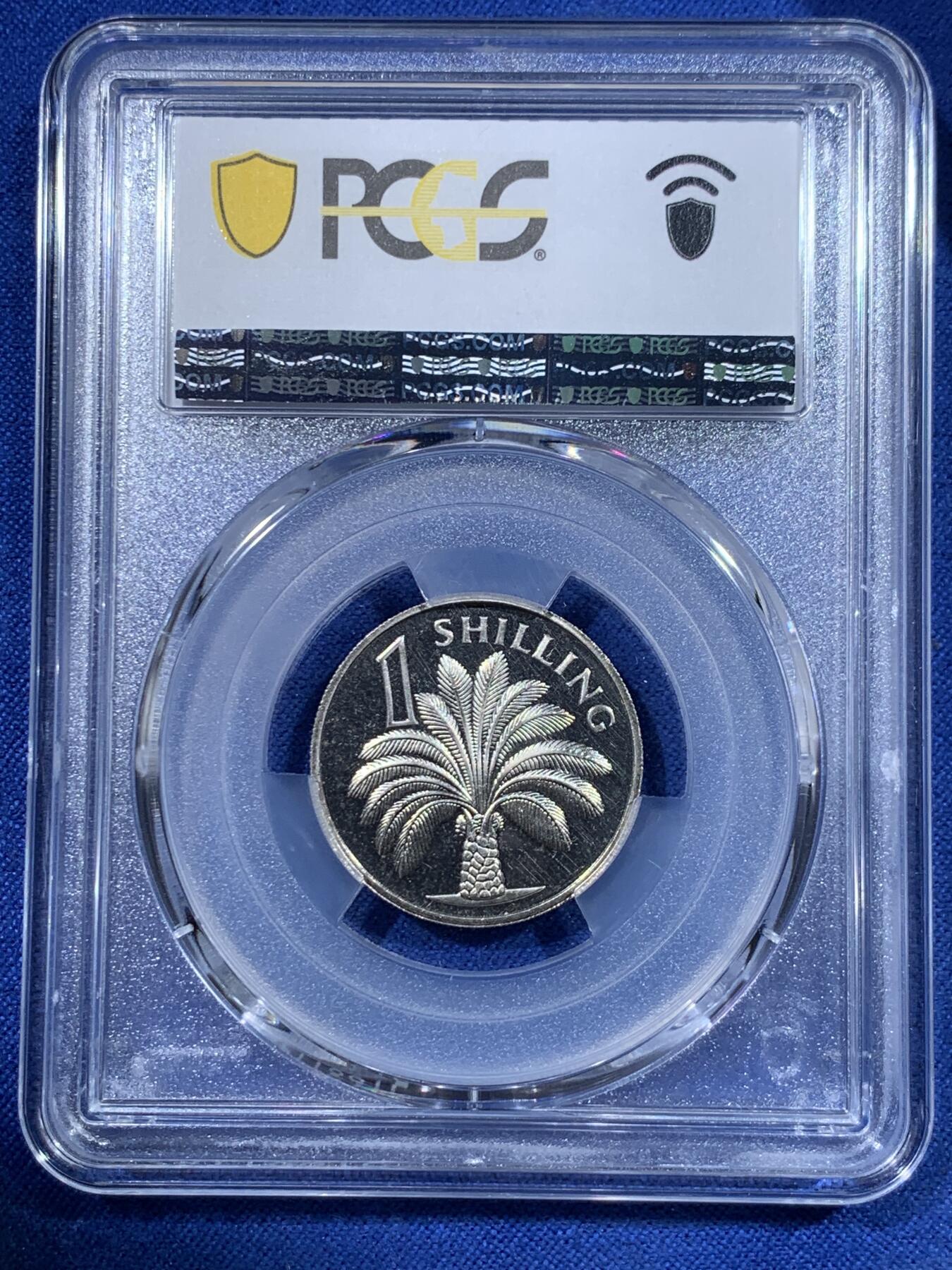 《竞宝斋》第417场 周日，周一，2场连拍 （全场包邮） PCGS PR66CAM 冈比亚1966年1先令棕榈精制币