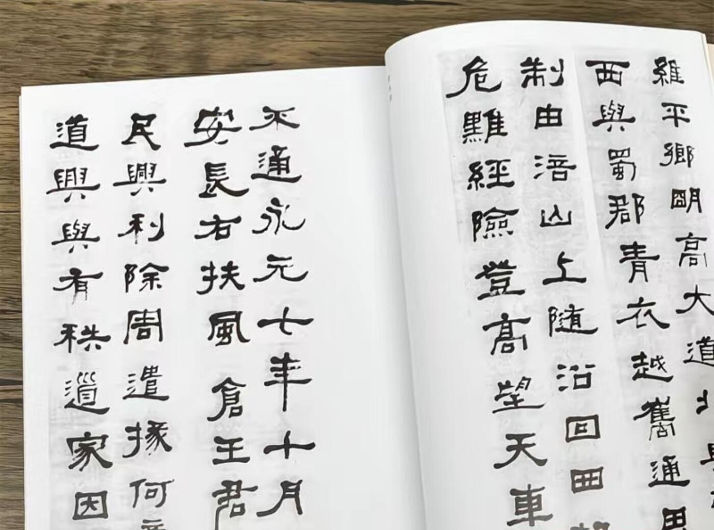 听雨轩名家书画册专场 (全新正版) 何绍基书法集 上下两册 全新正版铜版彩印