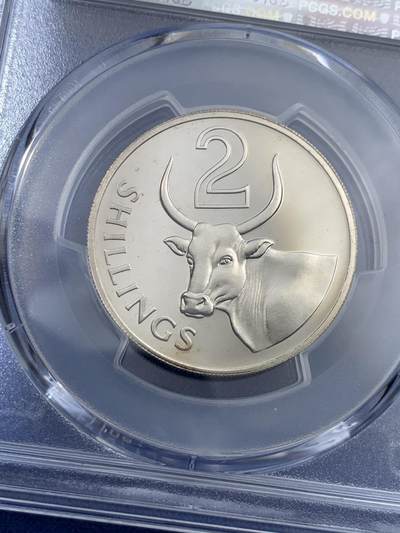 《竞宝斋》第417场 周日，周一，2场连拍 （全场包邮） PCGS PR66CAM 冈比亚1966年2先令瘤牛精制币