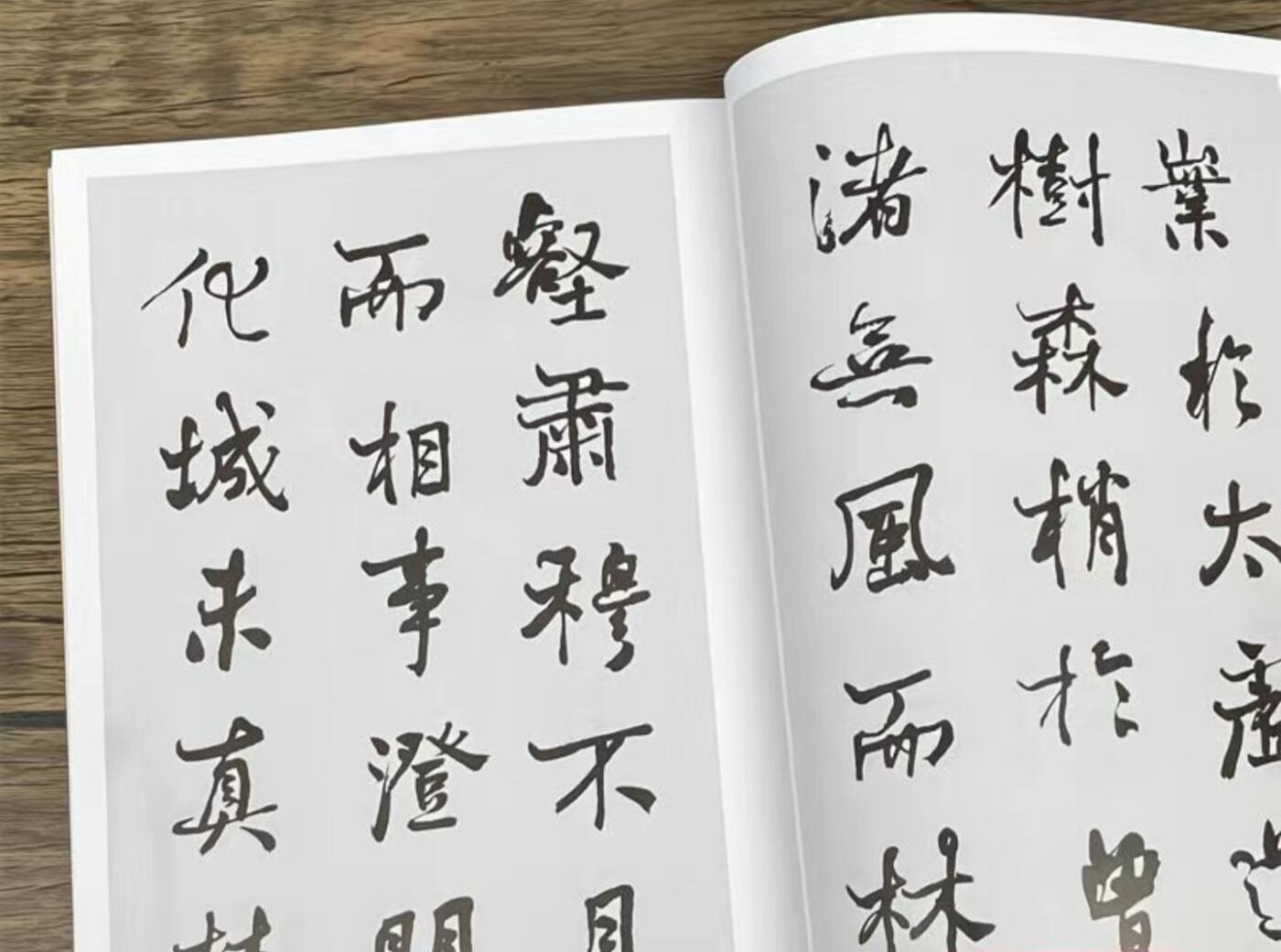 听雨轩名家书画册专场 (全新正版) 何绍基书法集 上下两册 全新正版铜版彩印