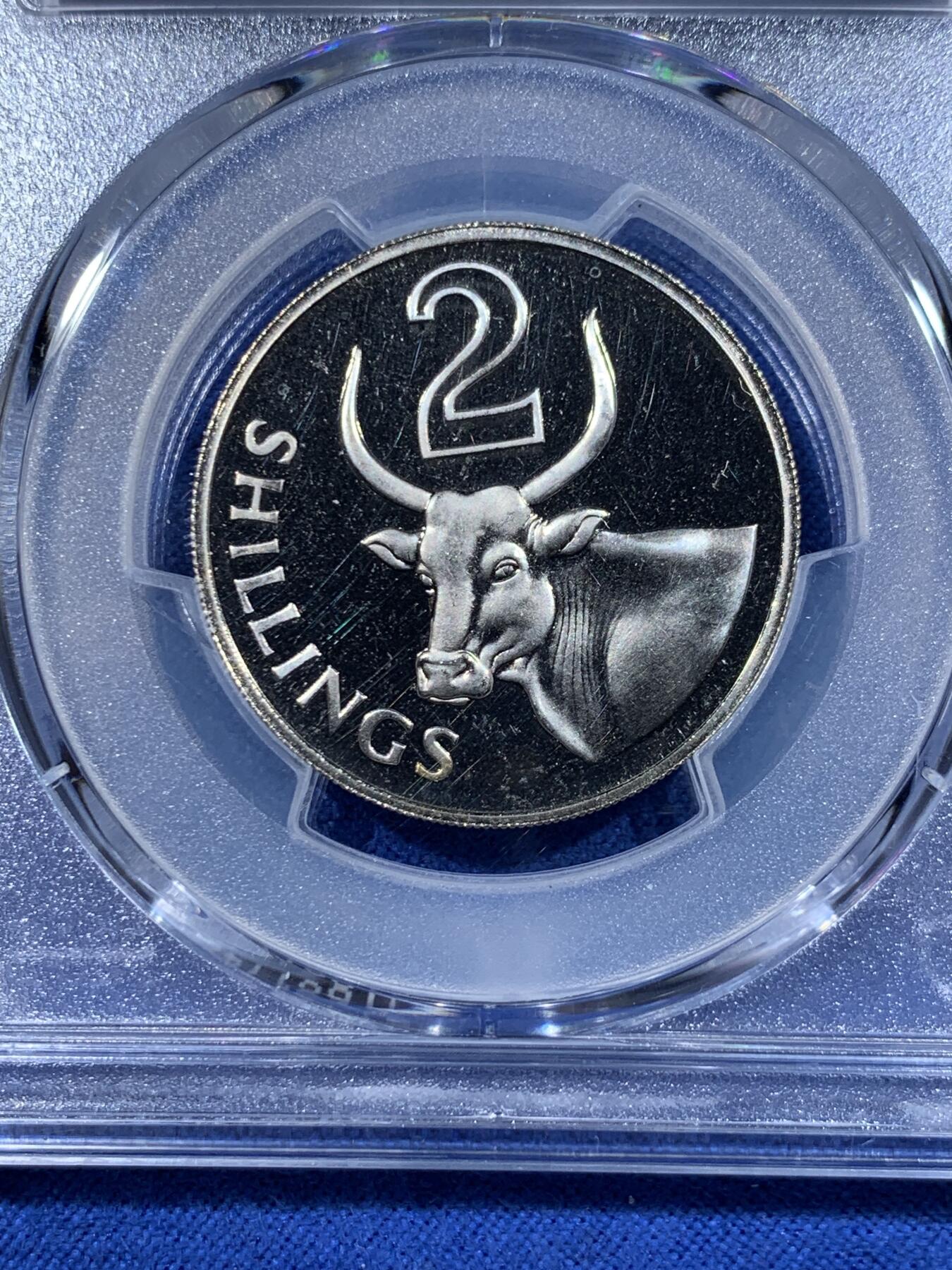 《竞宝斋》第417场 周日，周一，2场连拍 （全场包邮） PCGS PR66CAM 冈比亚1966年2先令瘤牛精制币