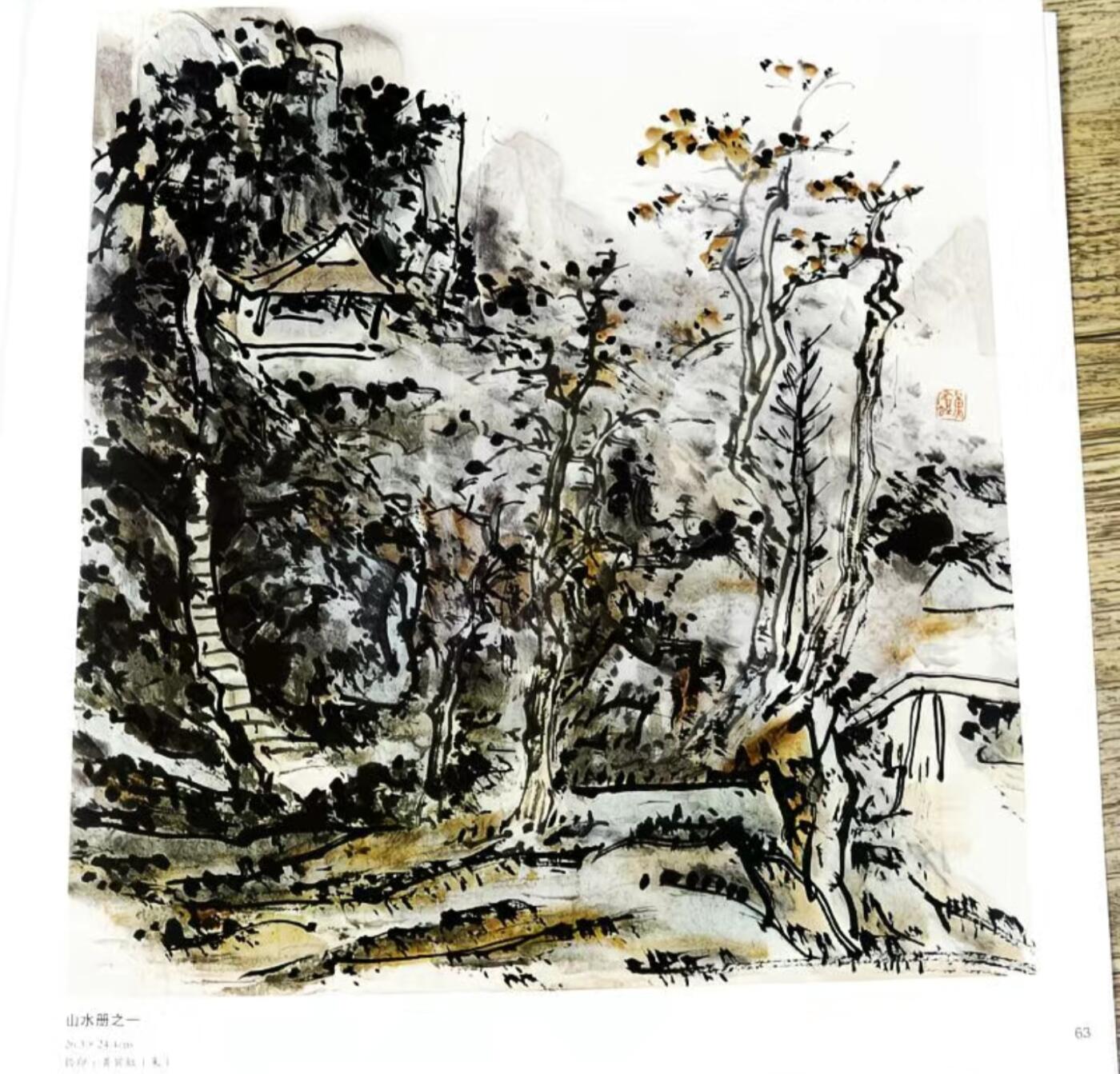 国画名家画册专场 中国画大师糸列黄宾虹画册 全新正版12开大版面铜版纸彩印