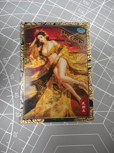  拍卖第十五场 无佣金 无手续费 公益拍 放大镜 品控 勿拍 卡牌出厂品质全部套膜 拒绝小号顶价 部分卡牌设有低价。大家放心拍 - 奇点卡牌 宗 武者天 彩闪 厚