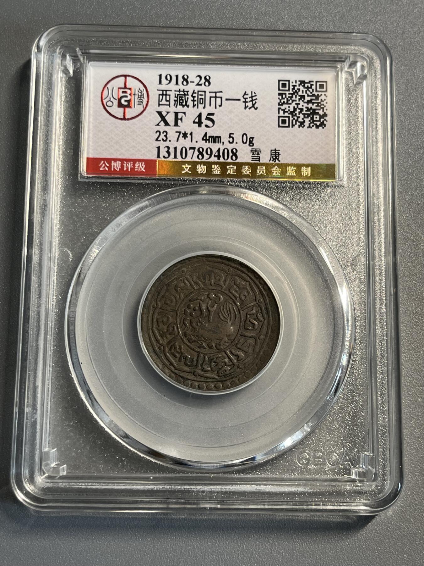 公博西藏铜币一钱雪康89408
