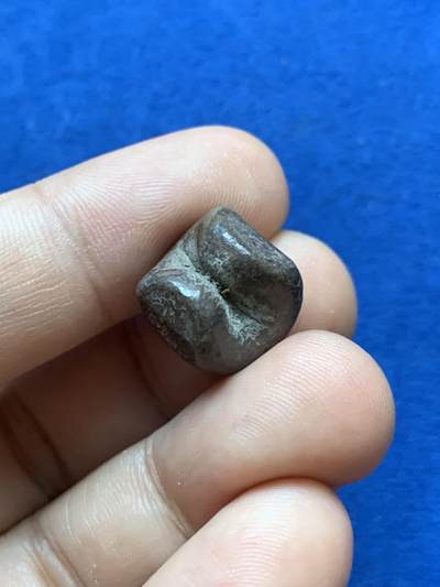 《竞宝斋》第417场 周日，周一，2场连拍 （全场包邮） 泰国18世纪子弹银屁股锭 1泰铢 14.6g 拉玛四世/五世