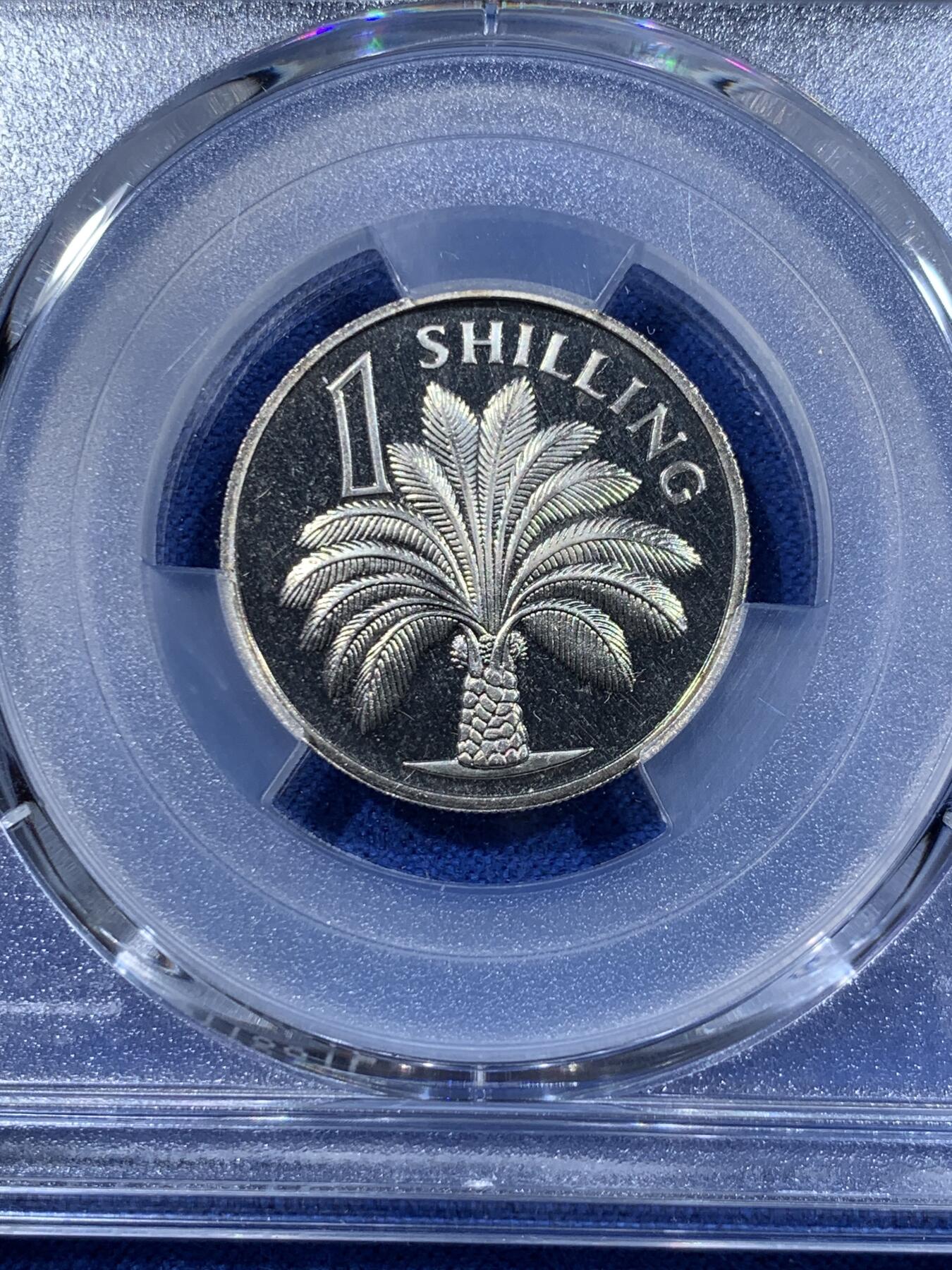 《竞宝斋》第417场 周日，周一，2场连拍 （全场包邮） PCGS PR66CAM 冈比亚1966年1先令棕榈精制币