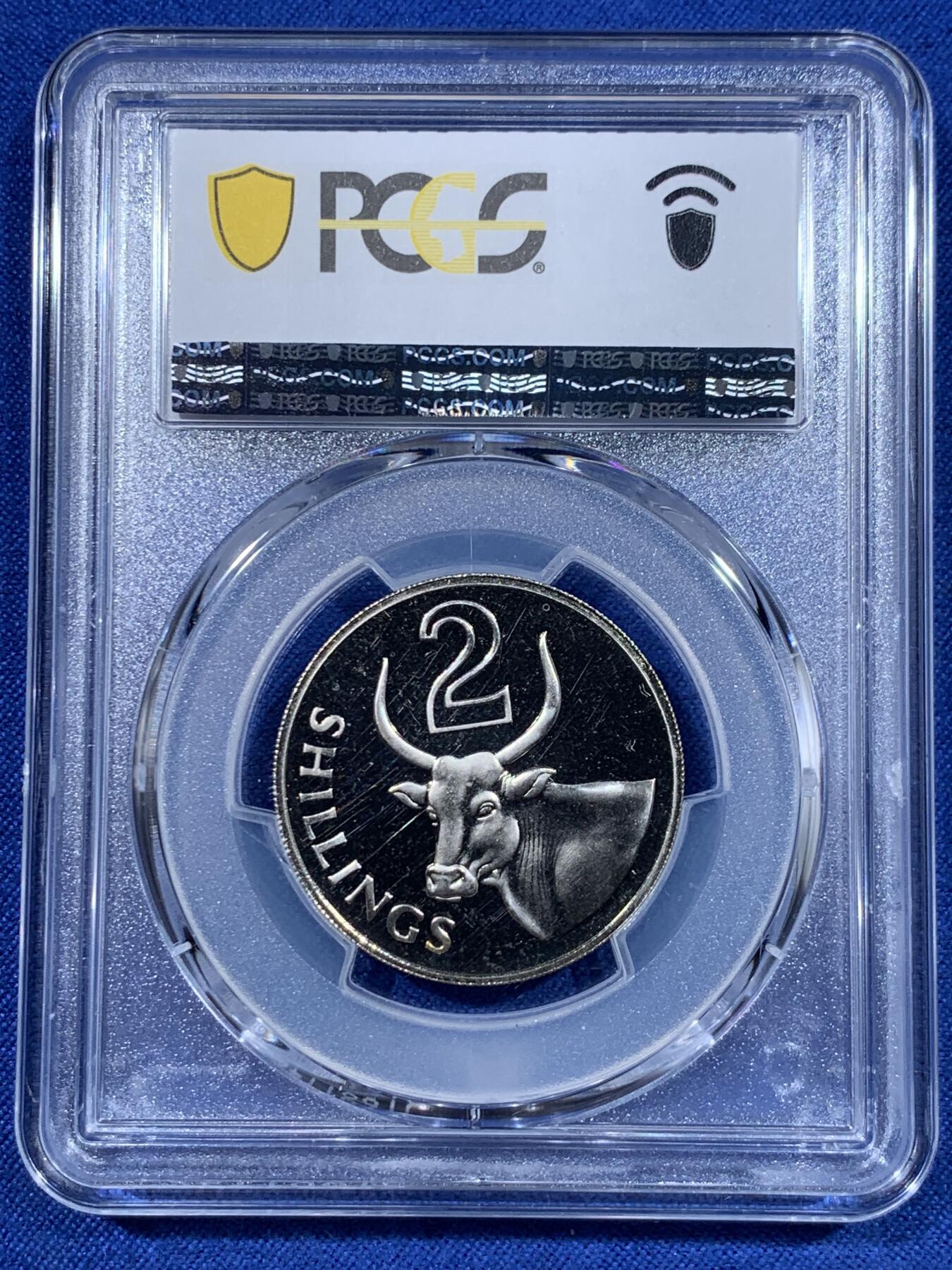 《竞宝斋》第417场 周日，周一，2场连拍 （全场包邮） PCGS PR66CAM 冈比亚1966年2先令瘤牛精制币