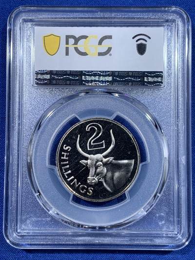 《竞宝斋》第417场 周日，周一，2场连拍 （全场包邮） PCGS PR66CAM 冈比亚1966年2先令瘤牛精制币