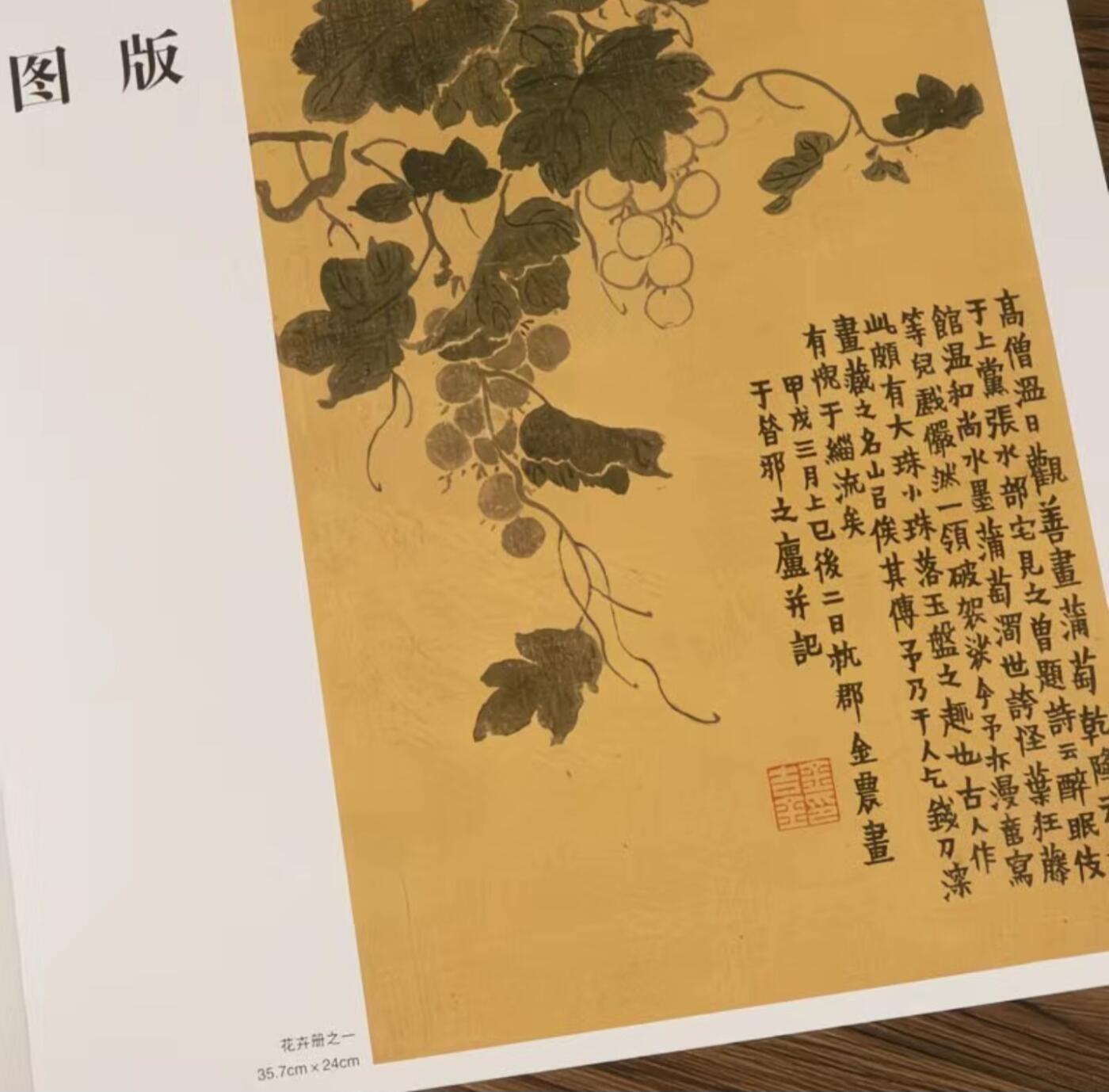 国画名家画册专场 中国画大师糸列金农画册 全新正版12开大版面铜版纸彩印