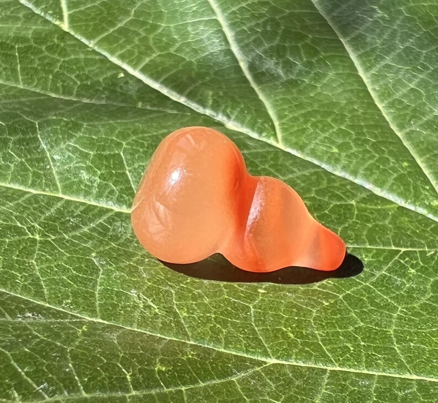 零元拍：漂亮的南红玛瑙葫芦，纯手工，尺寸约：大肚 13，小肚 9，高 20MM，3.6克，因为拍照环境以及光线的变化，颜色以实物为准。