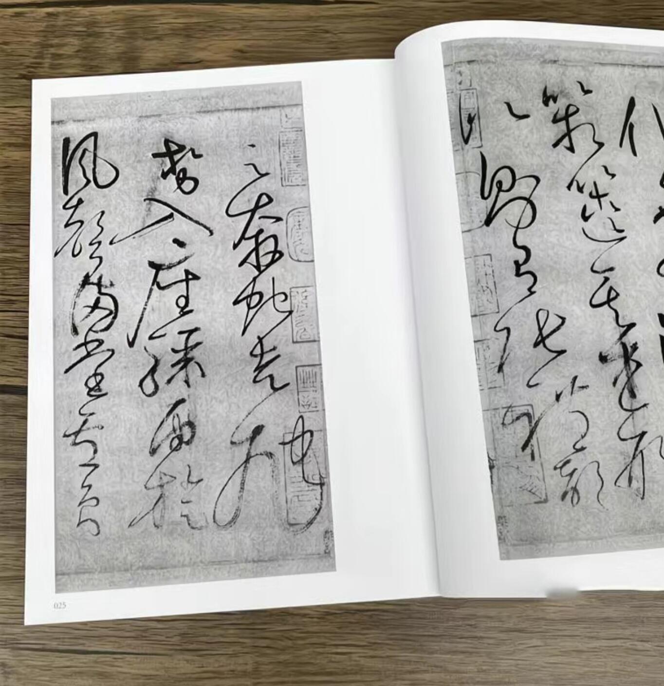 听雨轩名家书画册专场 (全新正版) 怀素书法集 上下两册 全新正版铜版彩印