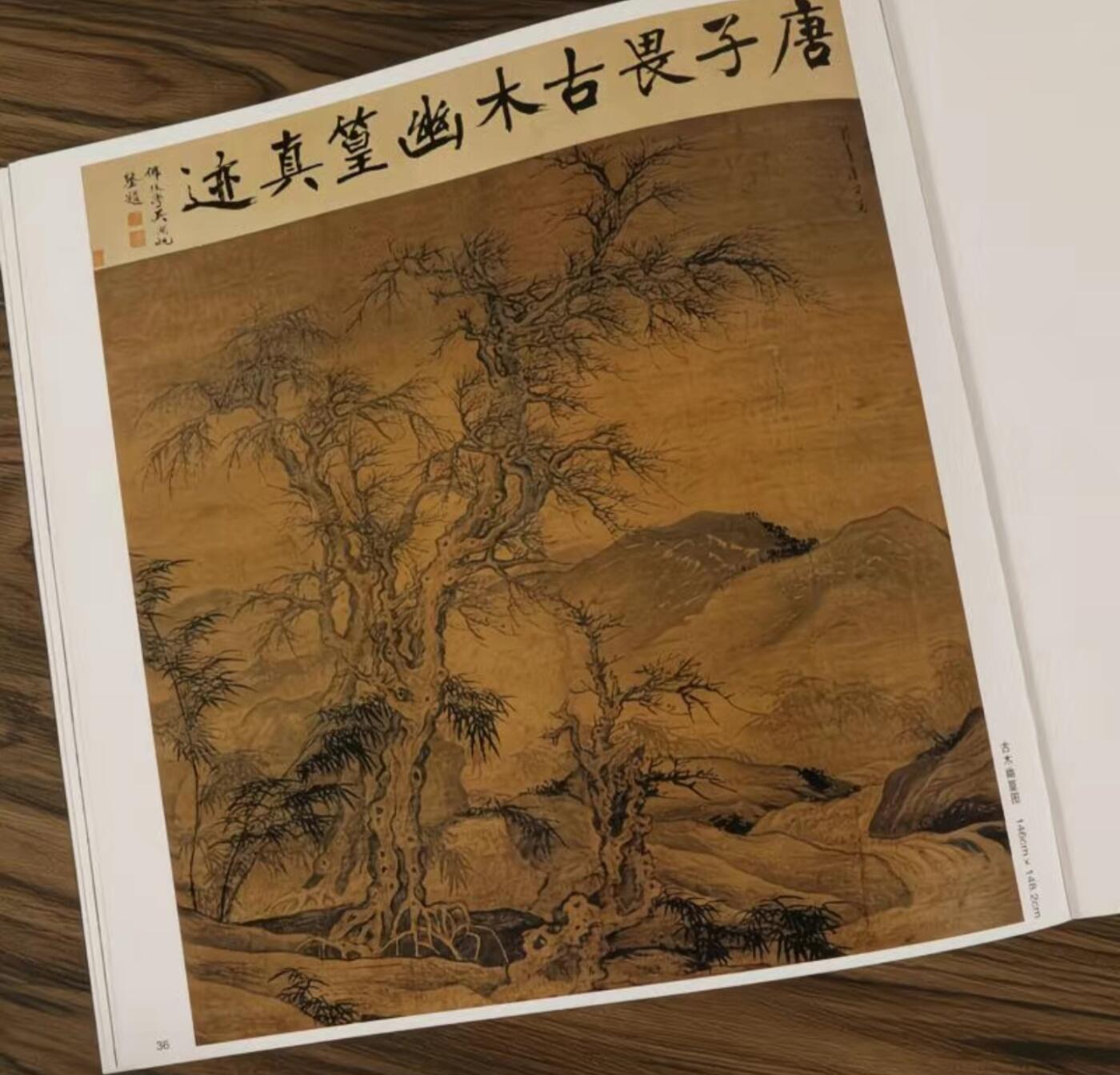 国画名家画册专场 中国画大师糸列唐寅画册 全新正版12开大版面铜版纸彩印
