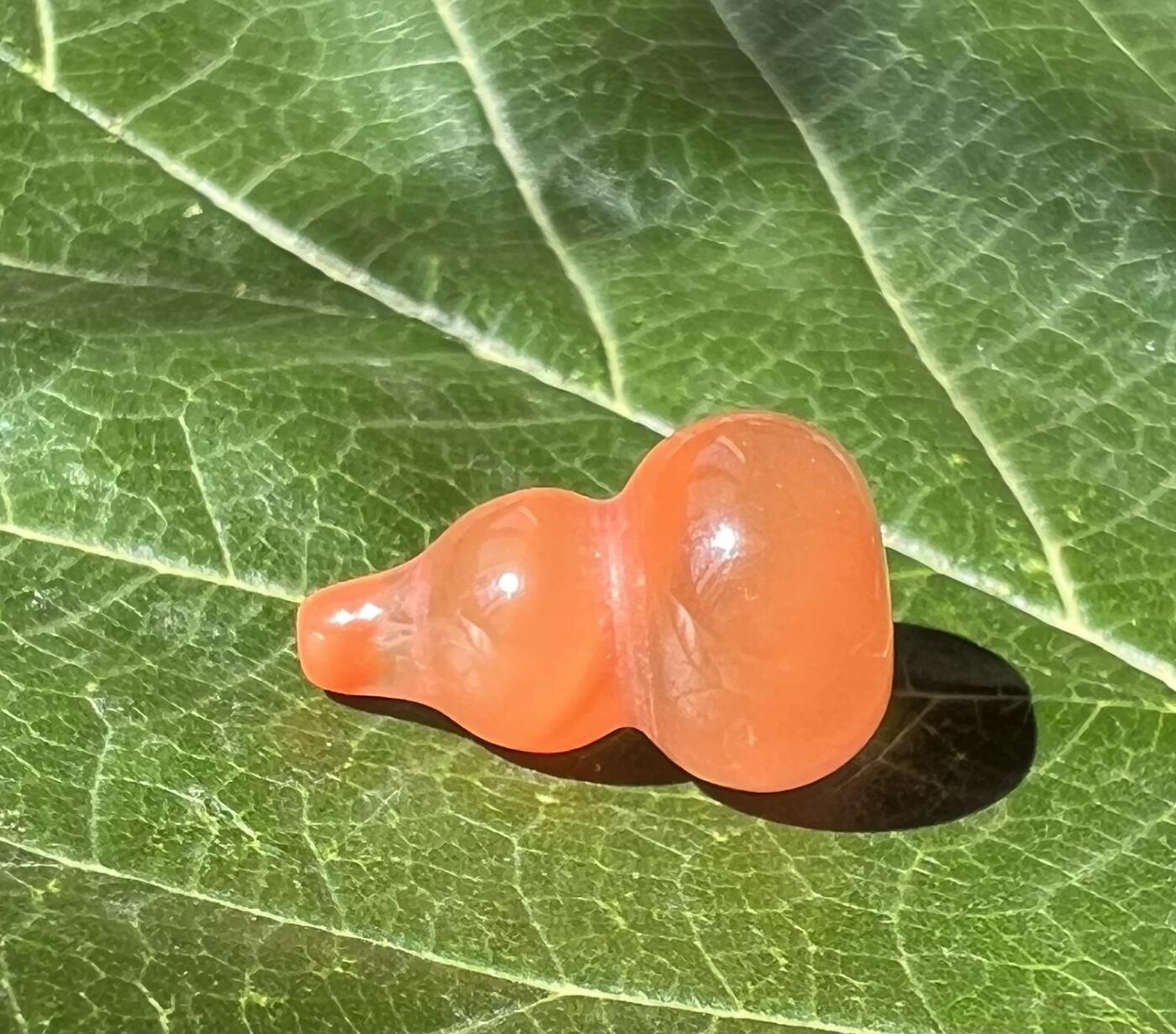 零元拍：漂亮的南红玛瑙葫芦，纯手工，尺寸约：大肚 13，小肚 9，高 20MM，3.6克，因为拍照环境以及光线的变化，颜色以实物为准。