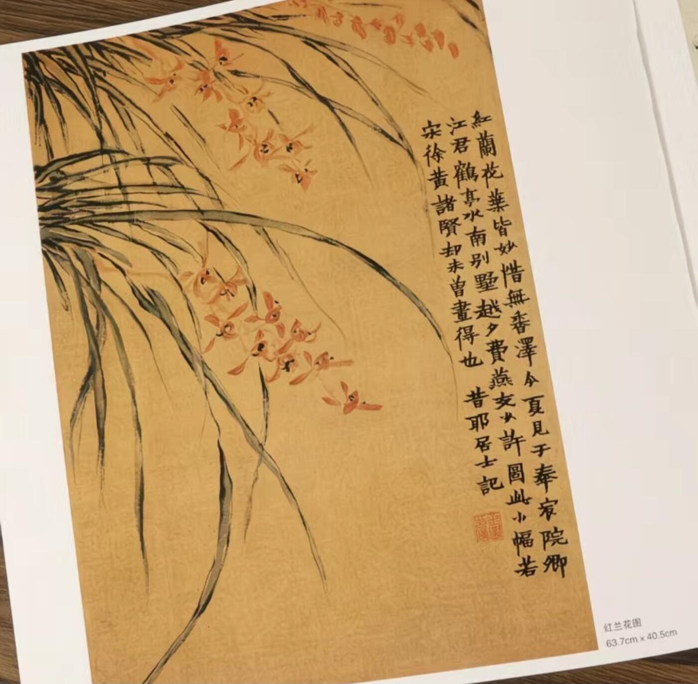 国画名家画册专场 中国画大师糸列金农画册 全新正版12开大版面铜版纸彩印
