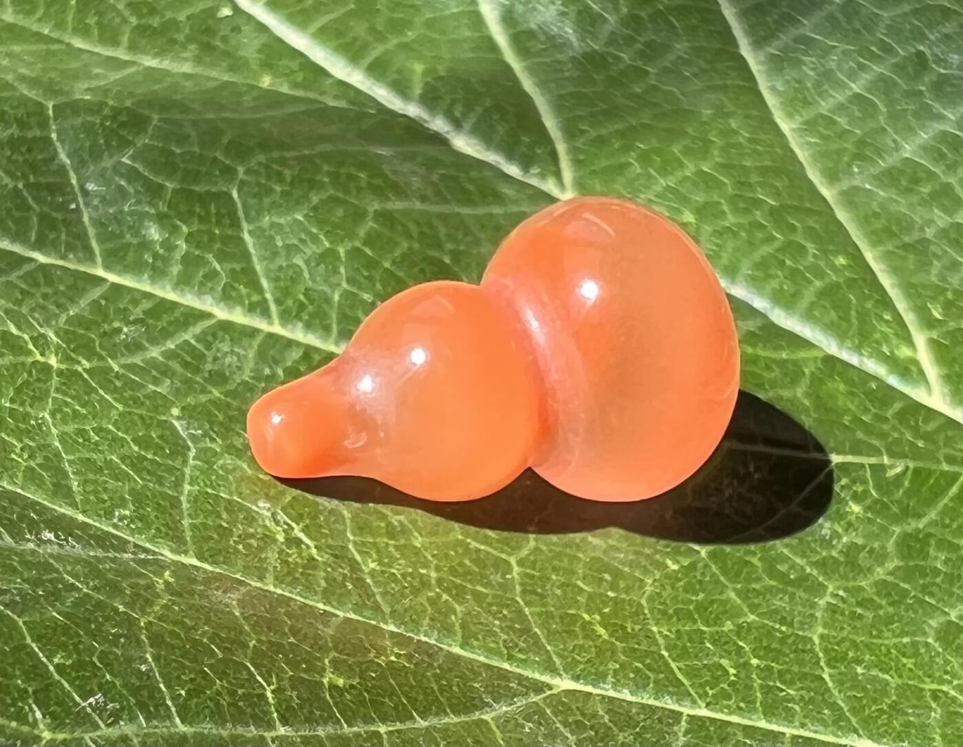 零元拍：漂亮的南红玛瑙葫芦，纯手工，尺寸约：大肚 13，小肚 9，高 20MM，3.6克，因为拍照环境以及光线的变化，颜色以实物为准。