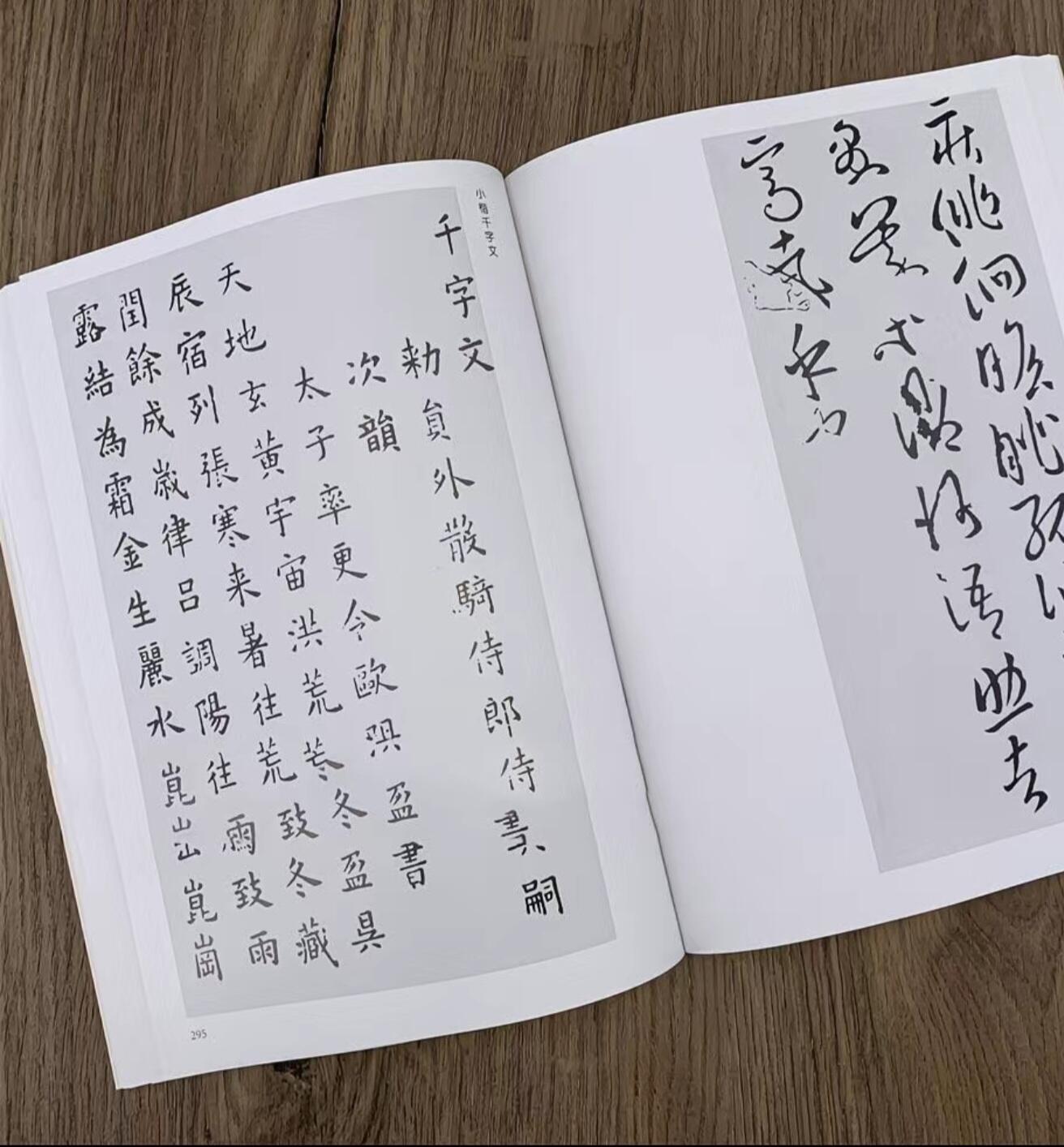 听雨轩名家书画册专场 (全新正版) 苏轼书法集 上下两册 全新正版铜版彩印