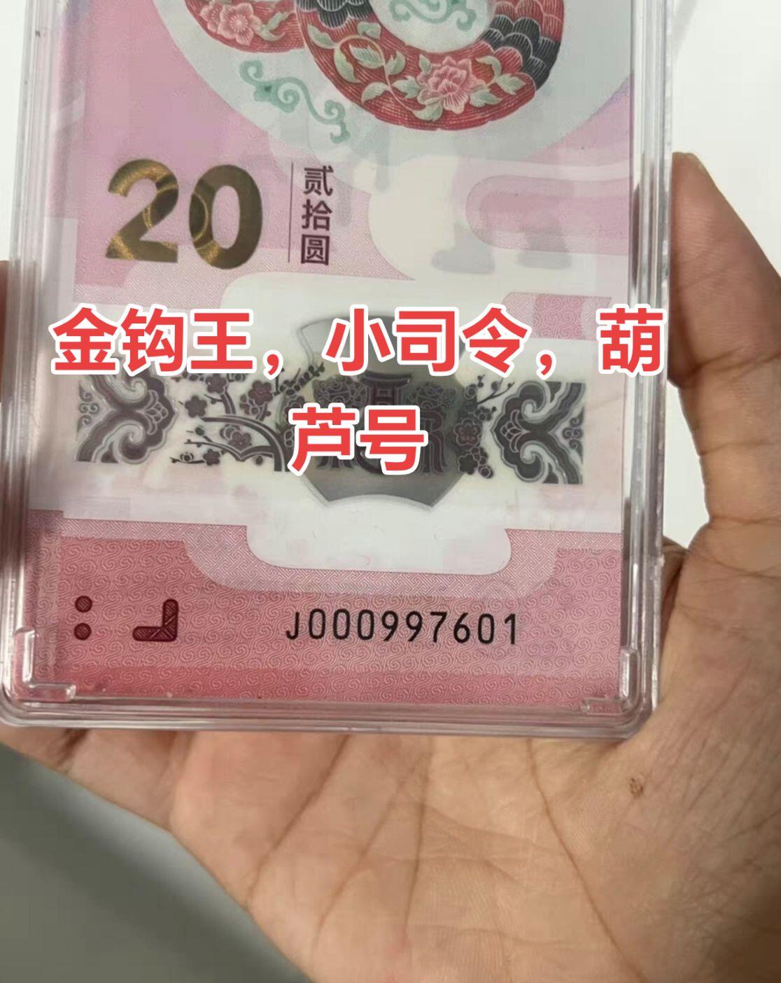 2025年蛇钞，金钩王，小司令，葫芦头