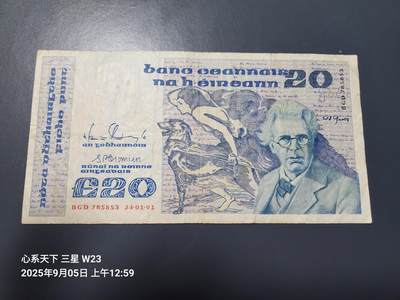 9月7号晚上8点 外国纸币自动截拍第22场 - 1991年爱尔兰20镑纸币 原票