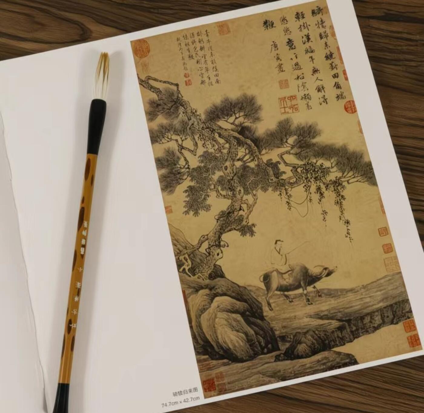 国画名家画册专场 中国画大师糸列唐寅画册 全新正版12开大版面铜版纸彩印