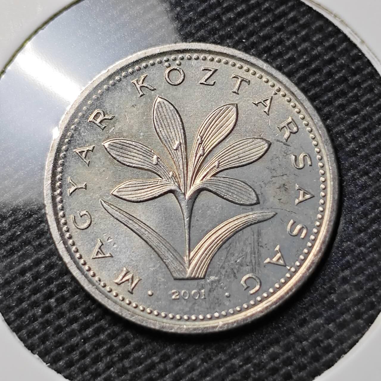 KK钱币收藏小铺 第333期 2月预留时间 周末发货