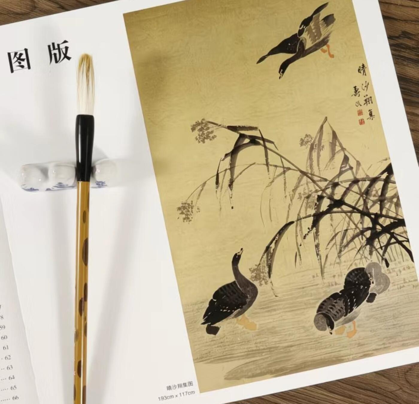 国画名家画册专场 中国画大师糸列边寿民画册 全新正版12开大版面铜版纸彩印