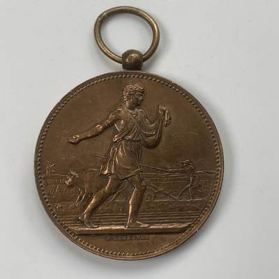 掌中浮雕-藏着的欧洲第035场 - 1894年法国农业铜章，46.5mm，(评级盒子可拆开)