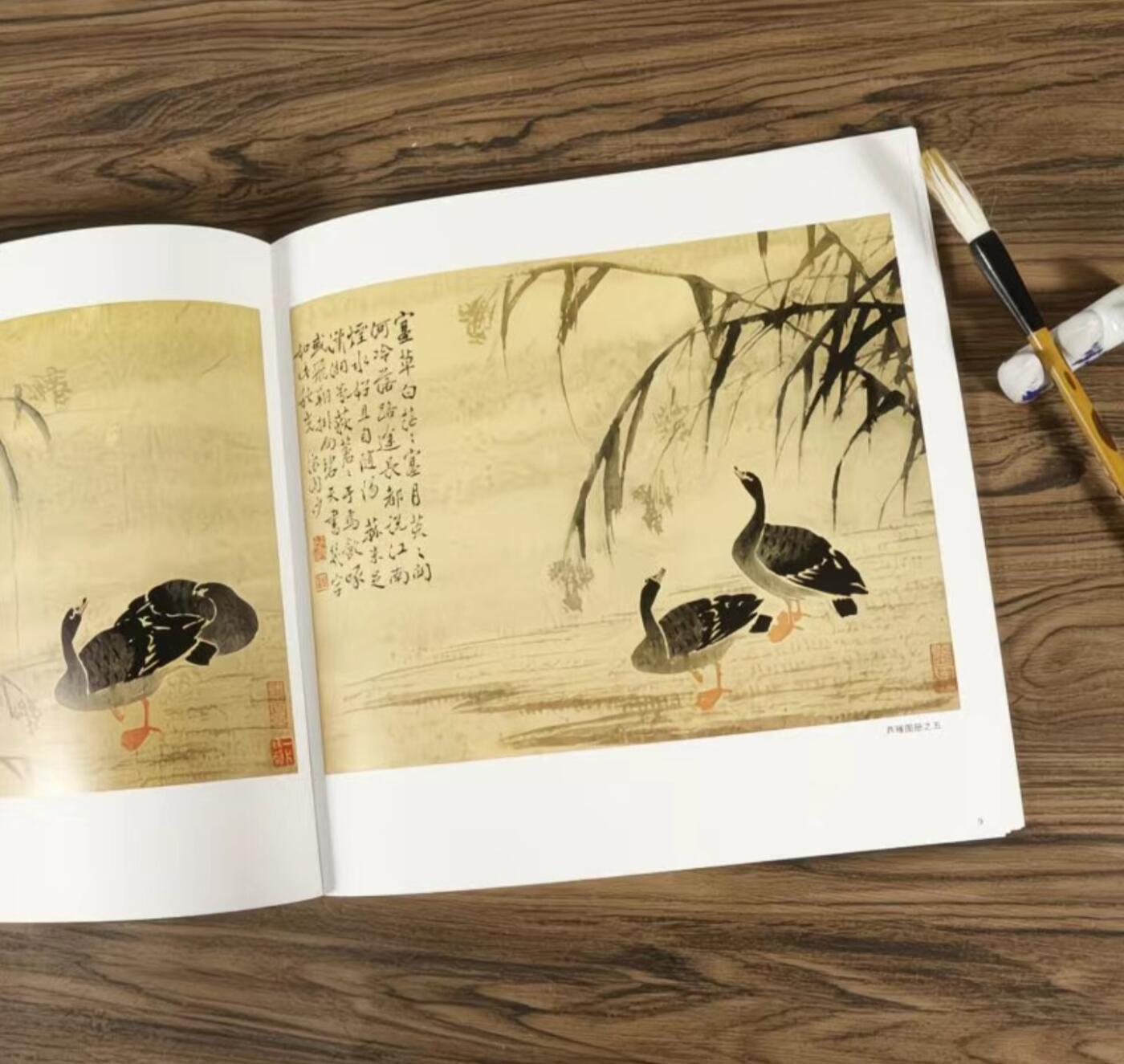 国画名家画册专场 中国画大师糸列边寿民画册 全新正版12开大版面铜版纸彩印