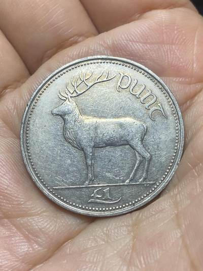 2025年第八十八场(总第一百一十四场）外国好品散币(免佣金) 爱尔兰🇮🇪1990年1镑(共和国时期第二套最大面值，首发年)