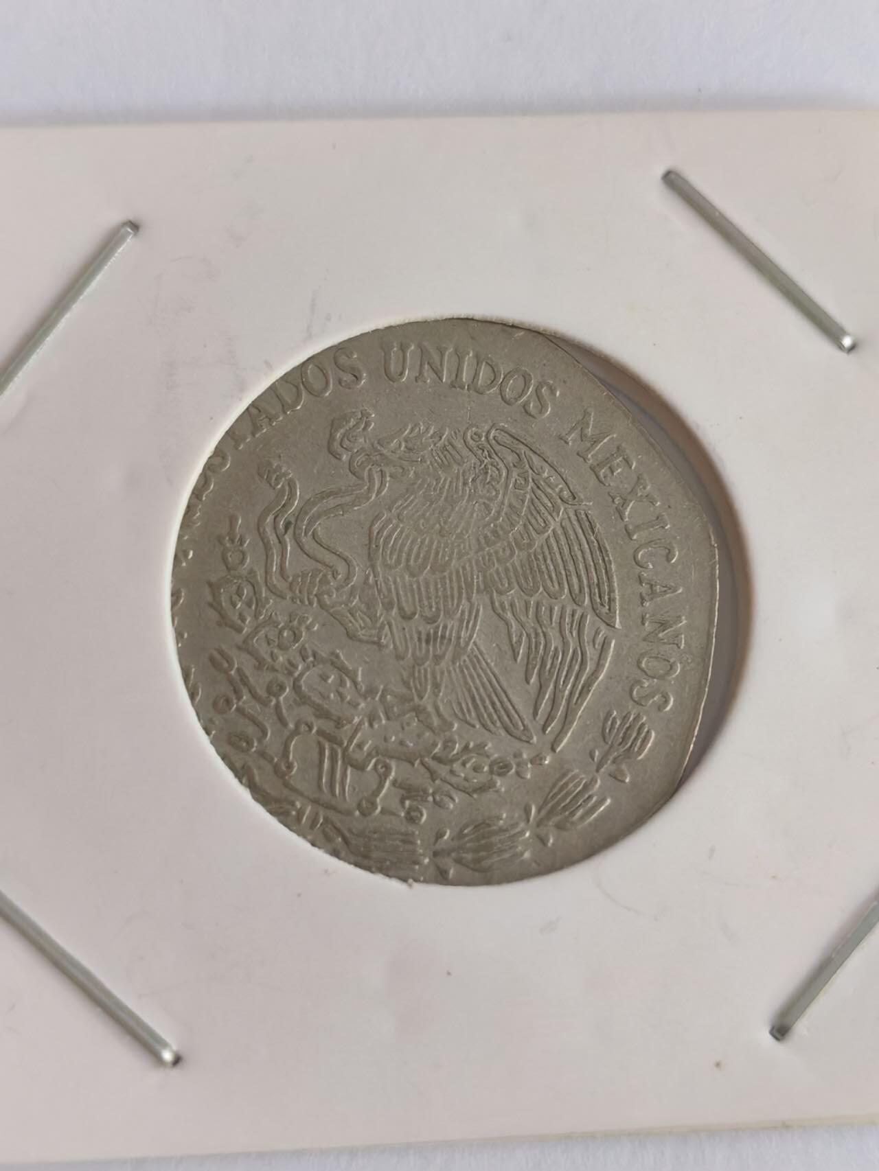 动物类外国硬币，专场。可寄存 鹰