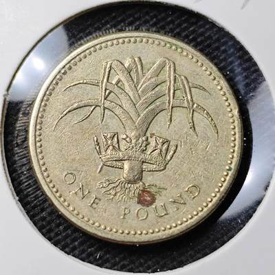 KK钱币收藏小铺 第333期 2月预留时间 周末发货 -  英国1镑