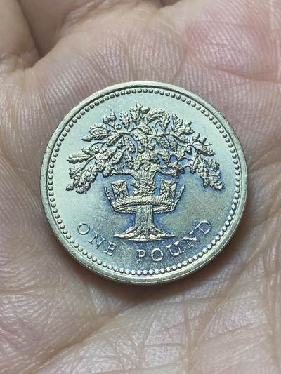 2025年第八十八场(总第一百一十四场）外国好品散币(免佣金) - 好品–英国🇬🇧1987年1英镑(英格兰橡树，首发年仅发行2年)