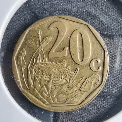 沼泽如烟--第833场 - 南非2004年20分