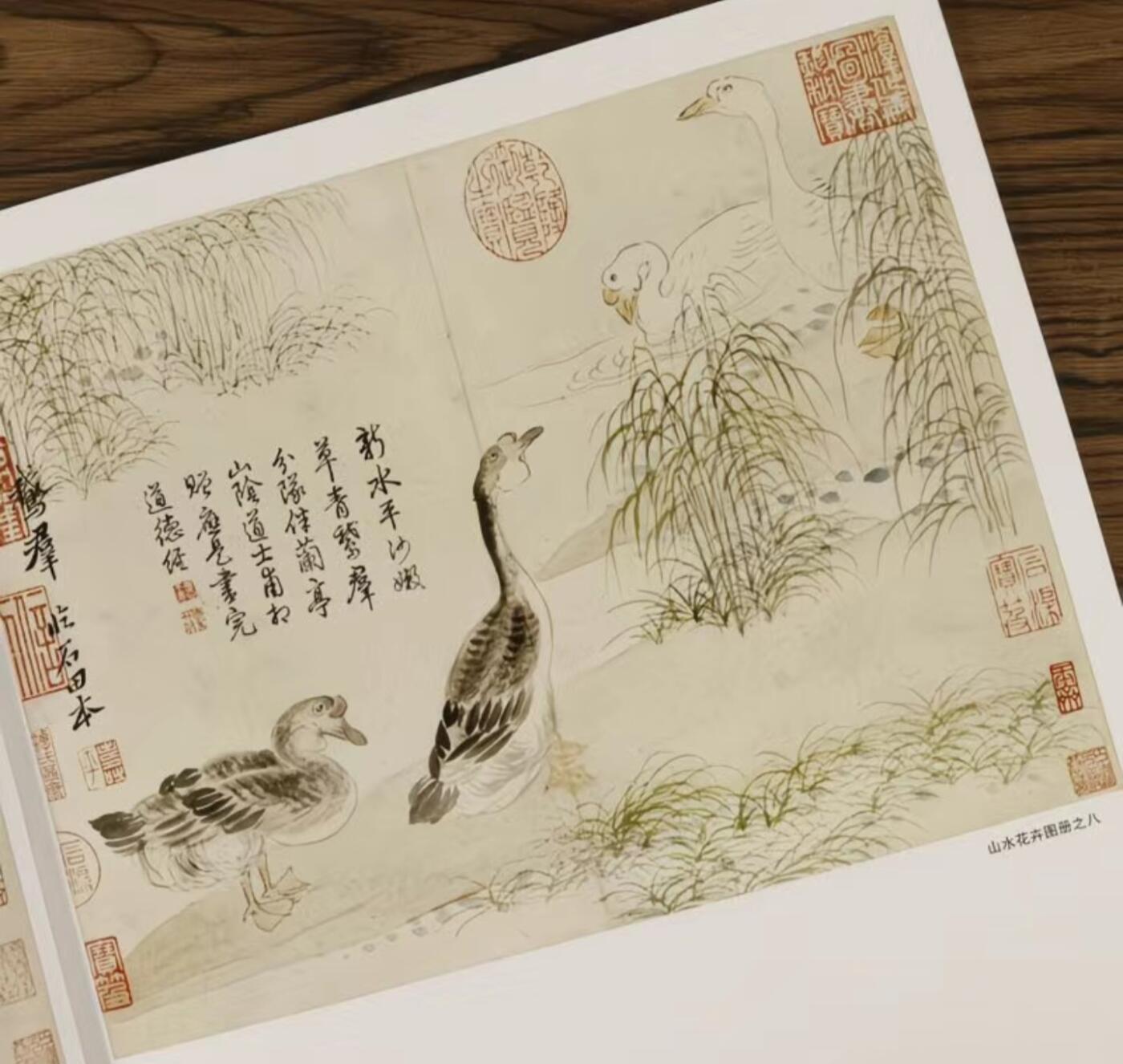 国画名家画册专场