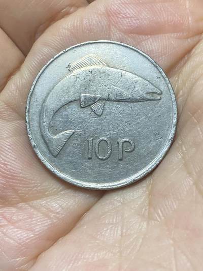 2025年第八十八场(总第一百一十四场）外国好品散币(免佣金) - 爱尔兰🇮🇪1980年10便士(共和国时期第二套，十进制第一版大尺寸版)
