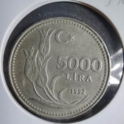 沼泽如烟--第833场 - 土耳其1992年5000里拉