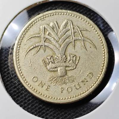 KK钱币收藏小铺 第333期 2月预留时间 周末发货 -  英国1镑
