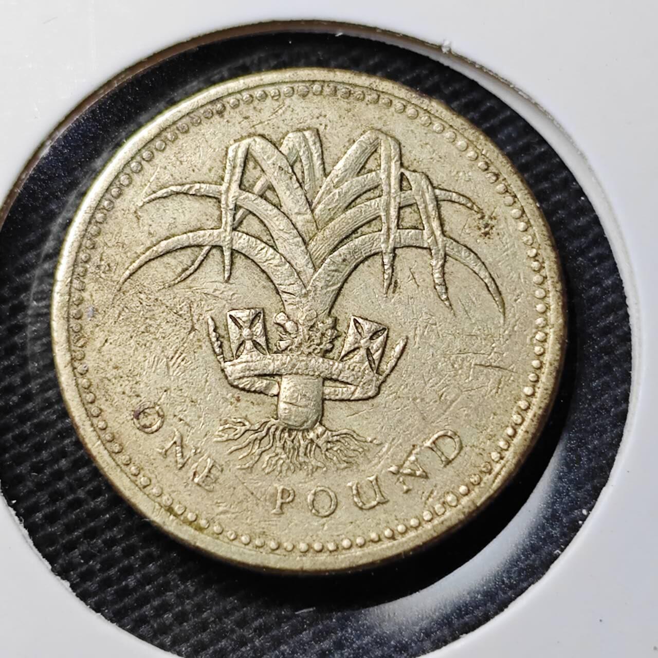 KK钱币收藏小铺 第333期 2月预留时间 周末发货  英国1镑