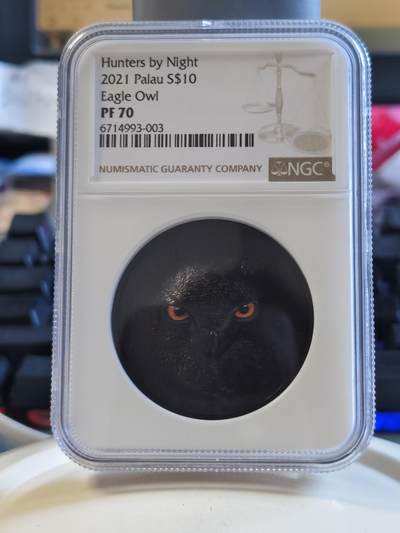 第174期拍卖【长期征集拍品】 - NGC-PF70ULTRA CAMEO 帕劳暗夜猎人系列2猫头鹰黑曜石精制银币（超高浮雕钌化工艺，2盎司克重，999纯银，币径38.61MM，全球发行量仅888枚，盒证全，高分热藏币种）