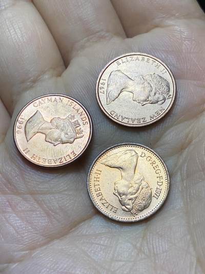 2025年第八十八场(总第一百一十四场）外国好品散币(免佣金) 原光好品3枚：开曼群岛1996年1分，新西兰🇳🇿1967年1分，英国🇬🇧1971年1/2新便士