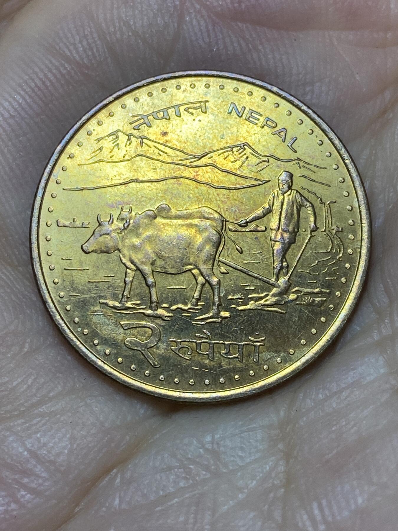 2025年第八十八场(总第一百一十四场）外国好品散币(免佣金) 尼泊尔🇳🇵2009年2卢比(比克拉姆历2066年)