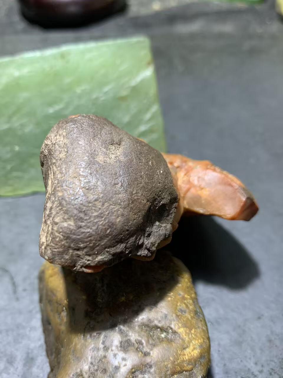 精美铁皮明料柿子红冻料南红玛瑙原石一颗，