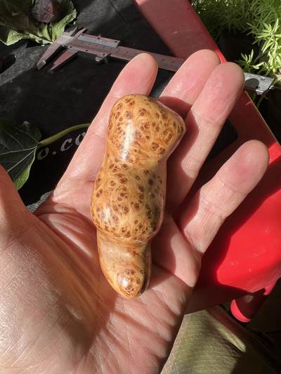 零元拍：崖柏瘤花随型手把件，十年前的存货了，油性极大。因为没有盘玩过，里面的油脂都渗出来了，收到后切记一定戴手套盘玩 - 零元拍：崖柏瘤花随型手把件，十年前的存货了，油性极大。因为没有盘玩过，里面的油脂都渗出来了，收到后切记一定戴手套盘玩