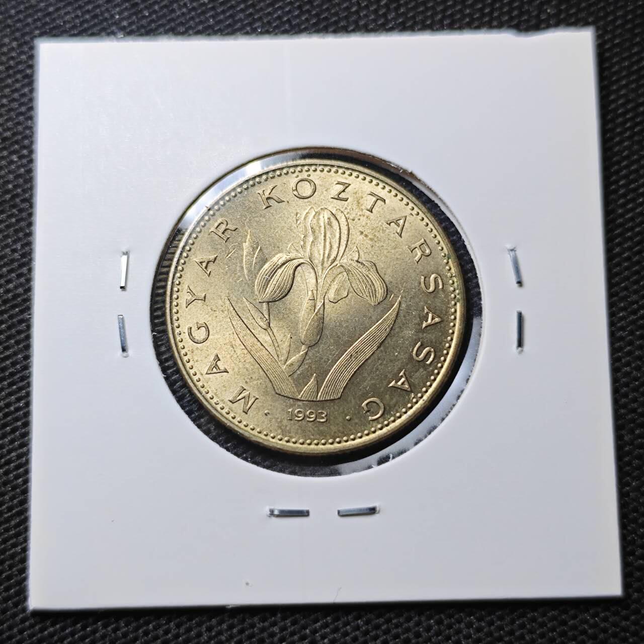 KK钱币收藏小铺 第333期 2月预留时间 周末发货