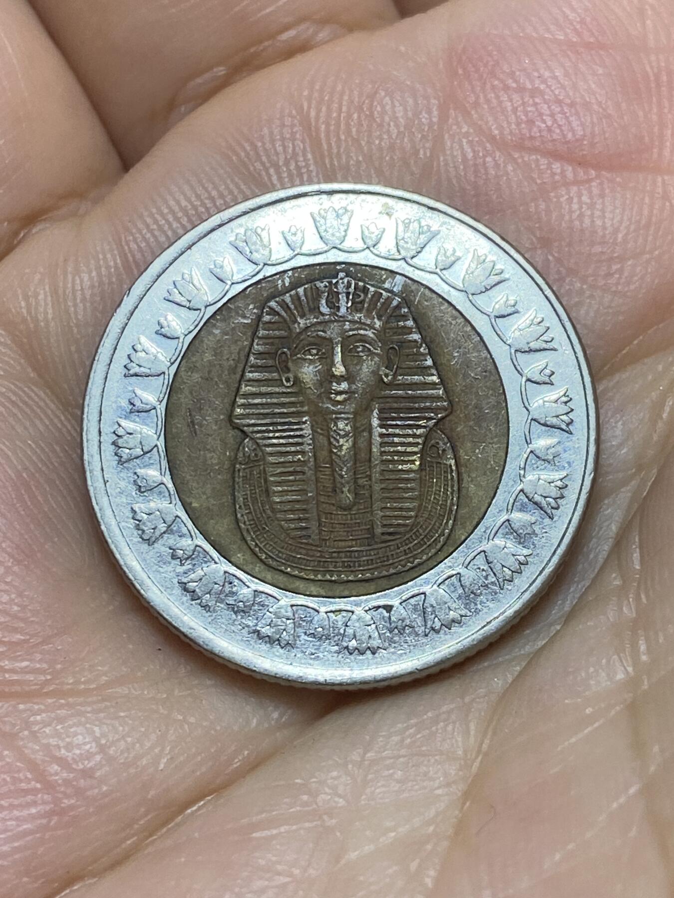 2025年第八十九场(总第一百一十五场）外国好品散币(免佣金) 埃及🇪🇬2010年1镑(伊斯兰历14331年，阿拉伯共和国时期第四套第二版，有磁版)