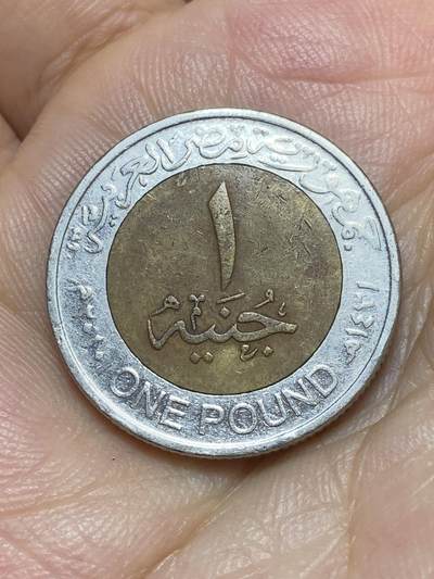 2025年第八十九场(总第一百一十五场）外国好品散币(免佣金) - 埃及🇪🇬2010年1镑(伊斯兰历14331年，阿拉伯共和国时期第四套第二版，有磁版)